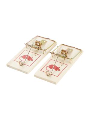 Mouse trap wood 2 pack
